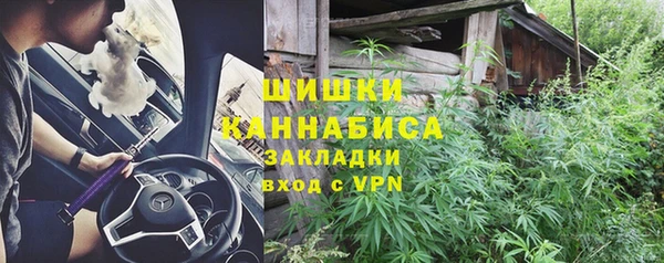 дживик Гусев