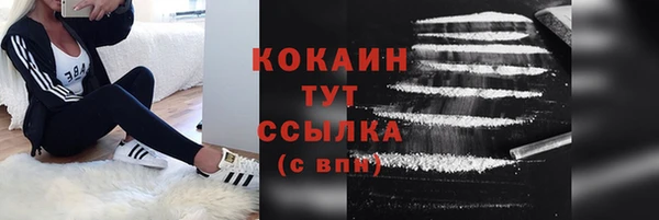 дживик Гусев
