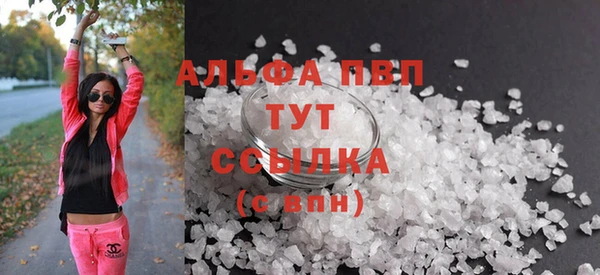 дживик Гусев