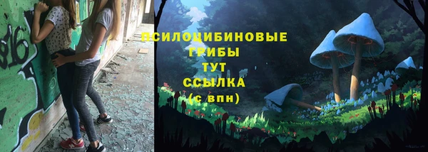 дживик Гусев