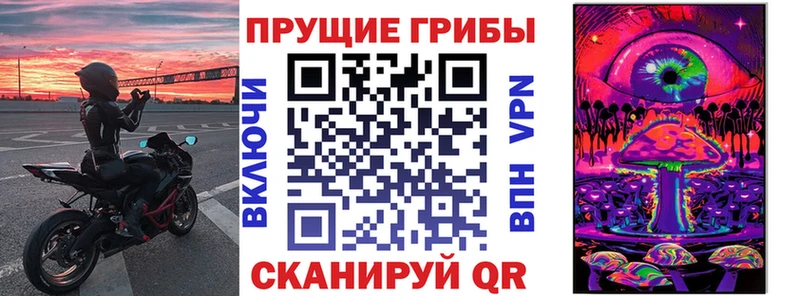 Купить где  Дедовск  Псилоцибиновые грибы Psilocybine cubensis 